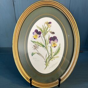 Elizabeth Sheppard Vintage Floral Prints Great Britain Oval Frame Avon #160
